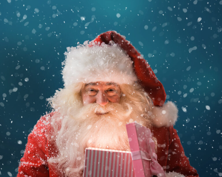 Santa's Grotto at The Swan Shopping Centre